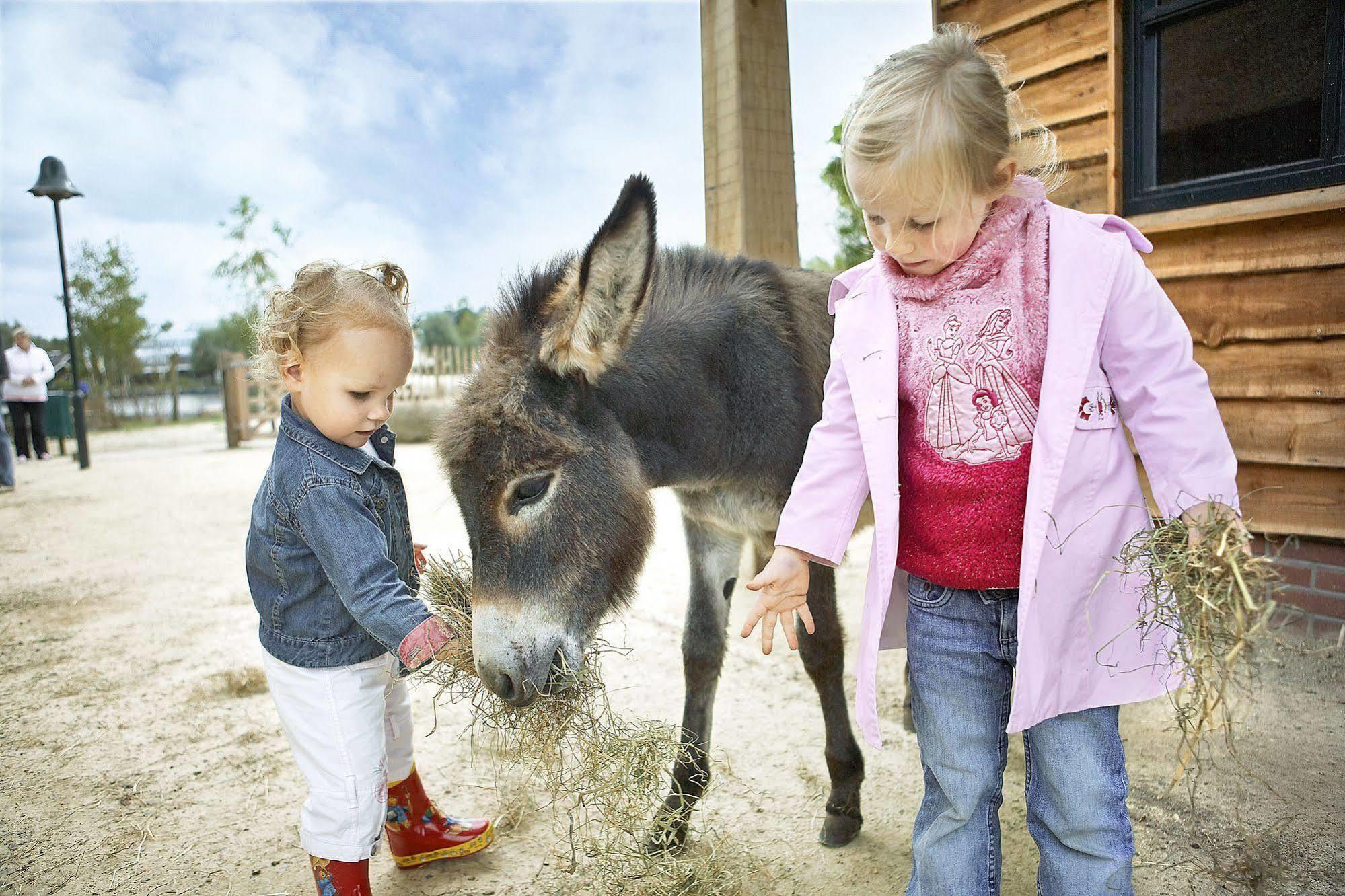 Center Parcs Huttenheugte Drenthe-Overijssel Dalen Ngoại thất bức ảnh